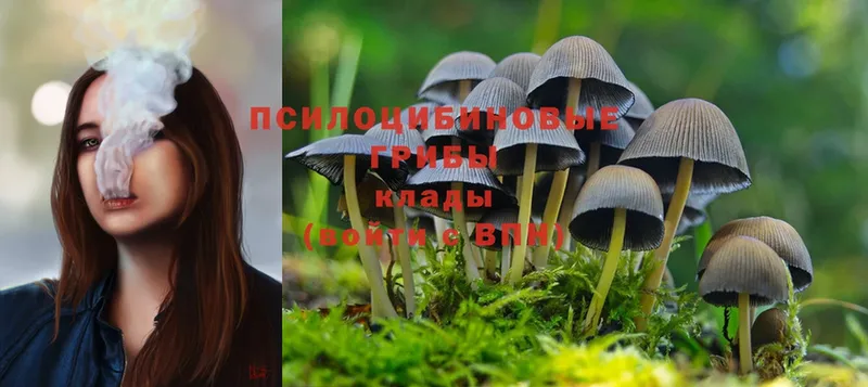 Галлюциногенные грибы Magic Shrooms  наркотики  гидра как зайти  Кандалакша 