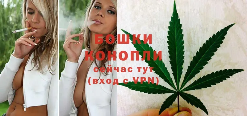 Бошки марихуана SATIVA & INDICA  закладки  Кандалакша 